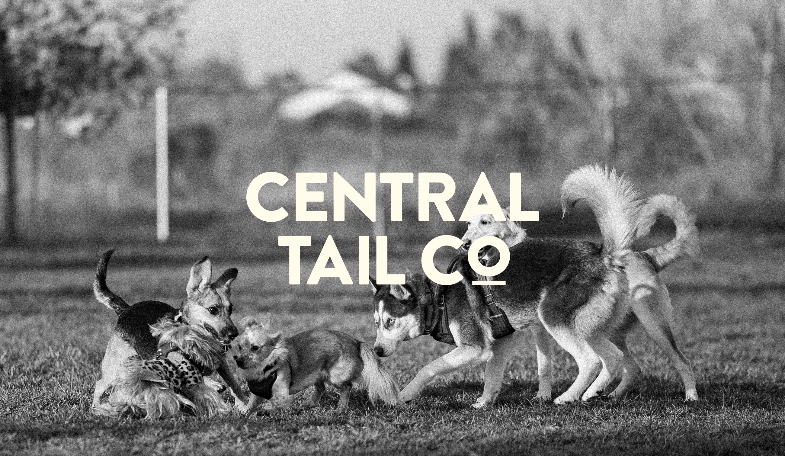 Central Tail Co.